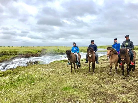 Hella Horse Rental