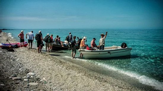Pelion Scout