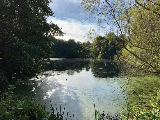 Beckford Nature Reserve