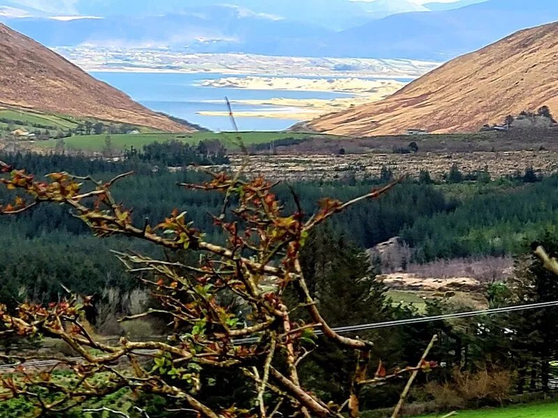 Large wood cabin 5 min drive to  Inch beach on the Wild Atlantic Way in Co kerry