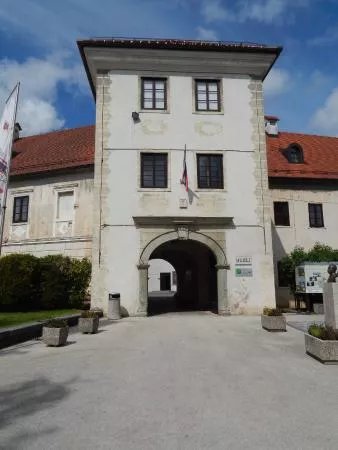 Belokranjski Muzej