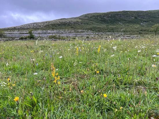 Burren Outdoors Education Centre