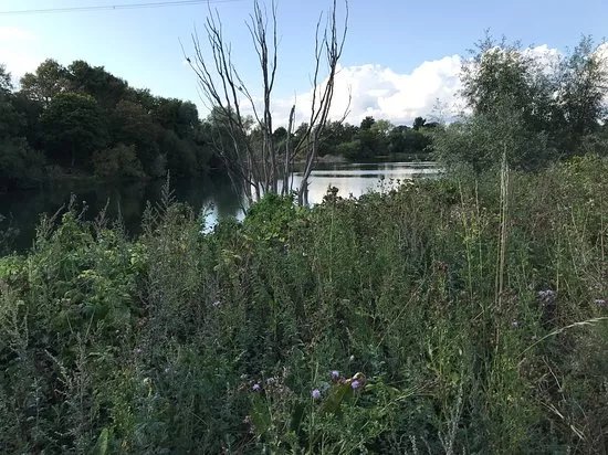 Tiddenfoot Waterside Park