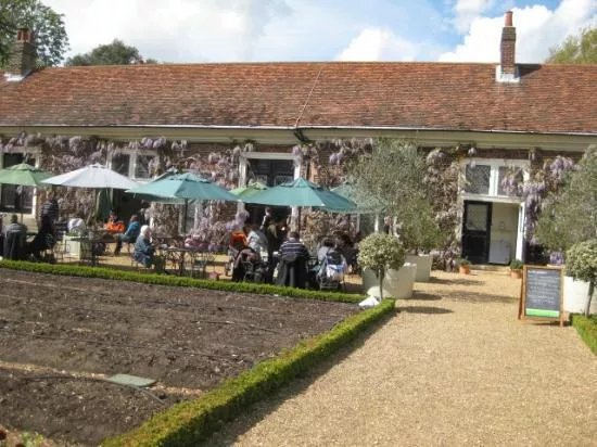 The Orangery Cafe