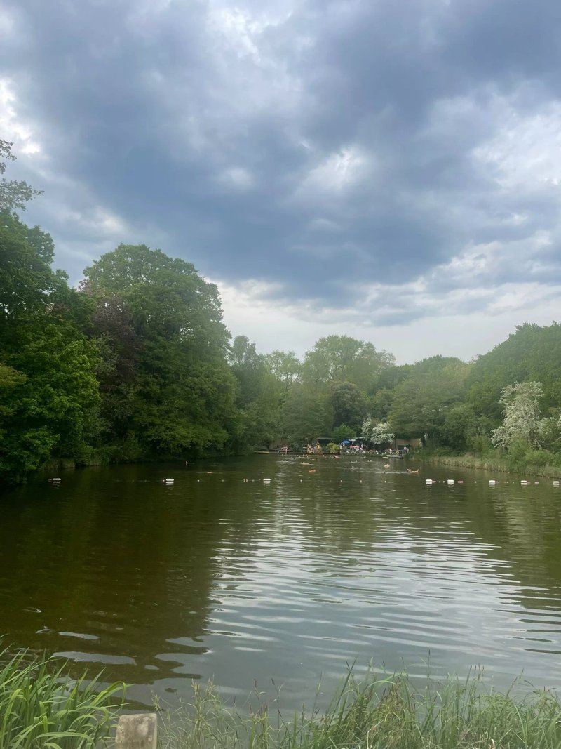 Hampstead Heath Mixed Bathing Pond
