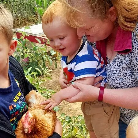 Tiny Steps Petting Farm