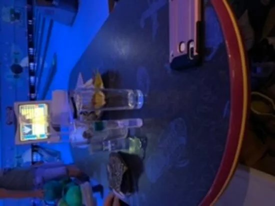 Bowling Den Bruul