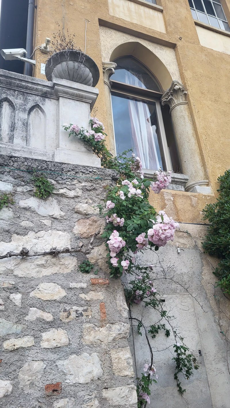 Convento di S. Tommaso a Villa