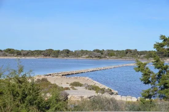 Parc Natural De Ses Salines