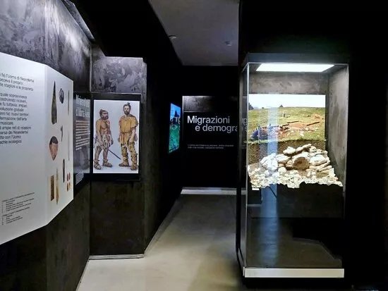 Muvar - Museo Dell'uomo Di Val Rosna