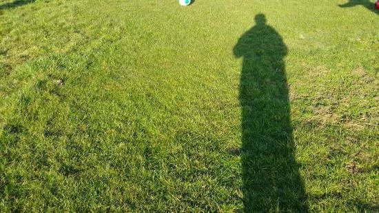 Swingolf und Straussenfarm Rutherbach