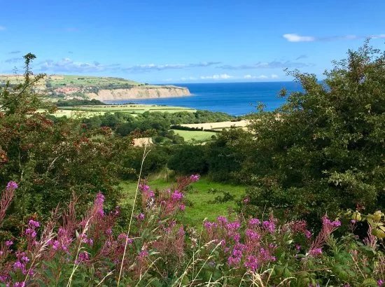 Along the Coast at Robin Hood's Bay