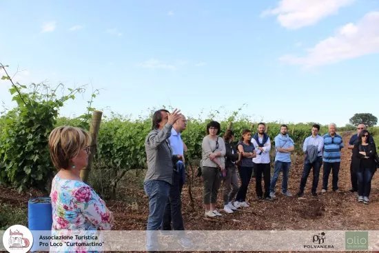 Associazione Turistica Pro Loco Curtomartino