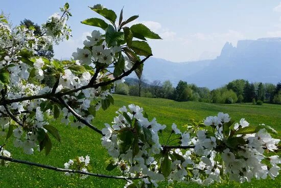 Sonnenplateau Ritten - Altopiano del Renon