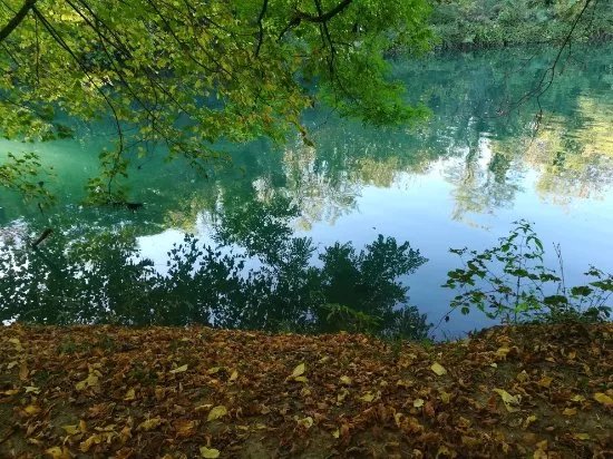 Parco Gianpiero Metelli