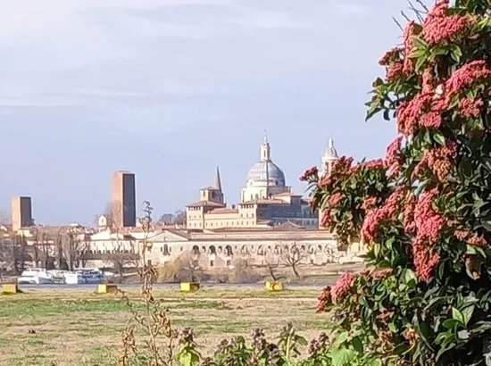 Centro Guide Turistiche Andrea Mantegna