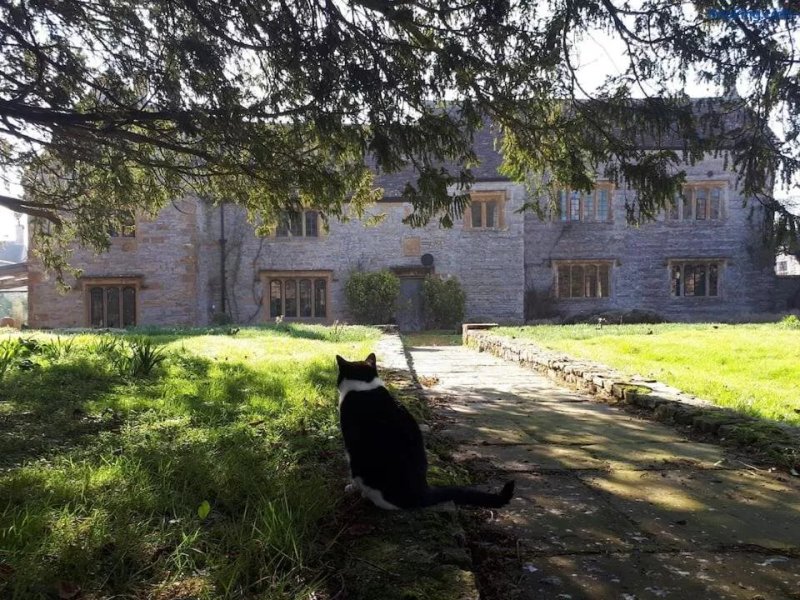 The Manor House