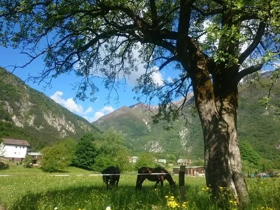 Posestvo Blata