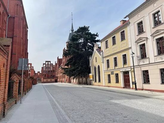 Sosna Czarna | Pomnik Przyrody