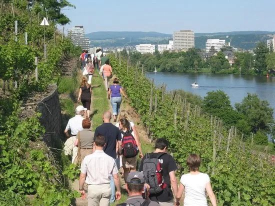 Weingut Schwaab