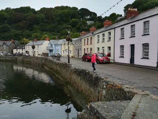 Fishguard Herrings