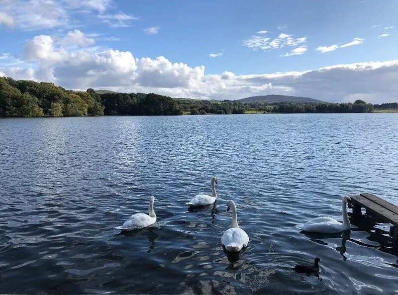 Tarn End Cottage 8, Talkin Tarn, Brampton ideal for a romantic break