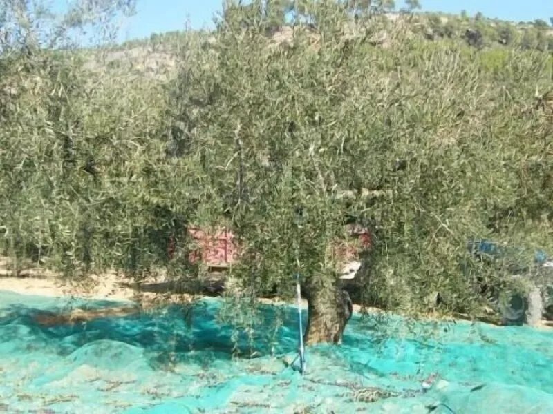 Self catering Can Cruset Agroturisme for 4 people