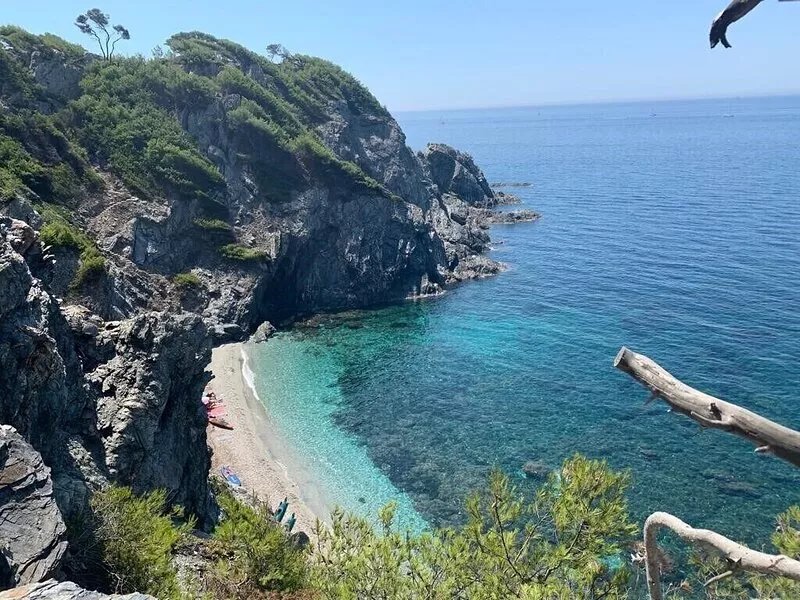 Villa with pool in the heart of Le Brusc in a wooded area, the sea on foot