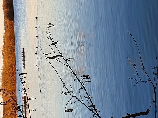 Little Marlow Lakes Country Park