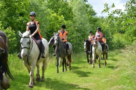 Derbyshire Pony Trekking