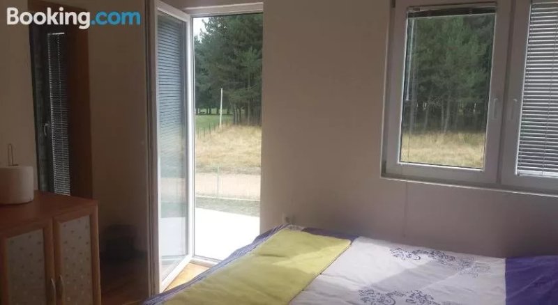 MP Company Rooms