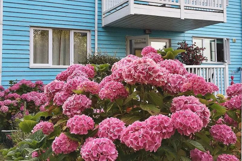 2 Bed ensuite Lodge overlooking beach and coastline