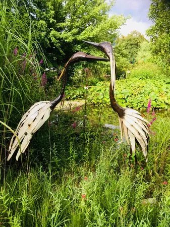 Botanischer Garten Universitat Salzburg