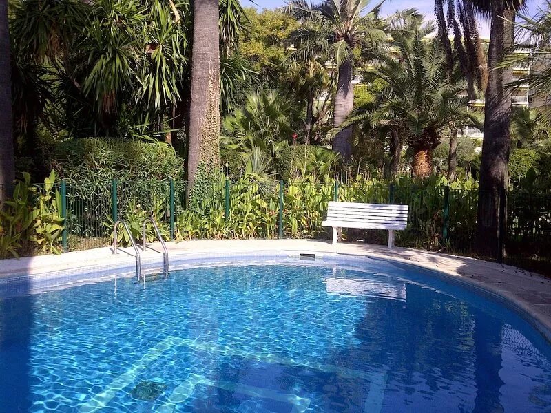 Palm grove with swimming pool by the sea