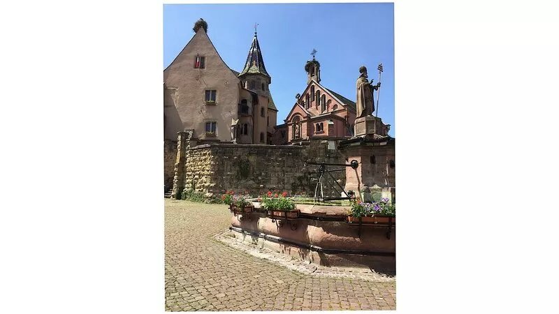 ALSACE air-conditioned gite in ind. house prox COLMAR garage bike garden.