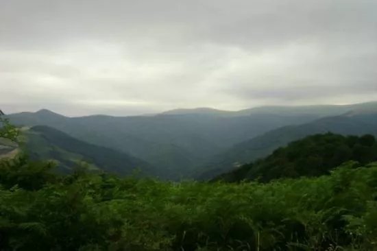 Malko Tarnovo