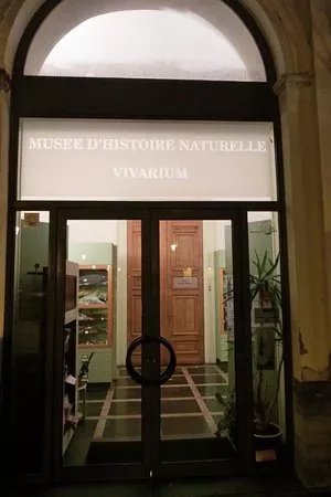 Musee d'Histoire Naturelle et Vivarium