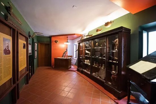 Museo Di Scienze Naturali Luigi Paolucci