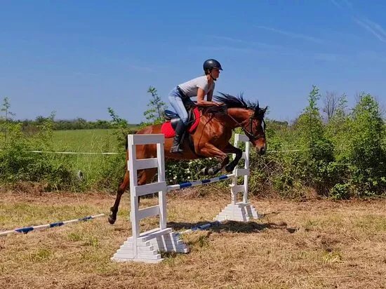 Unicorn Stable Skabrnja