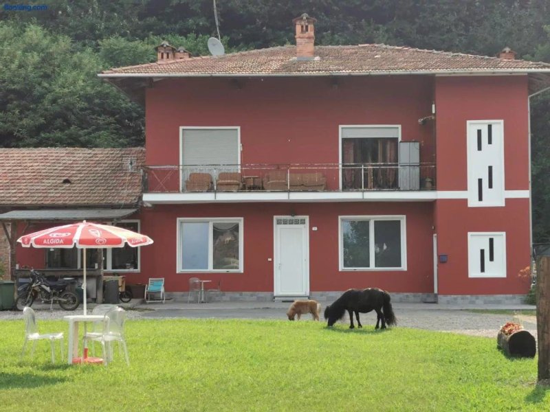 The Horse Guest House