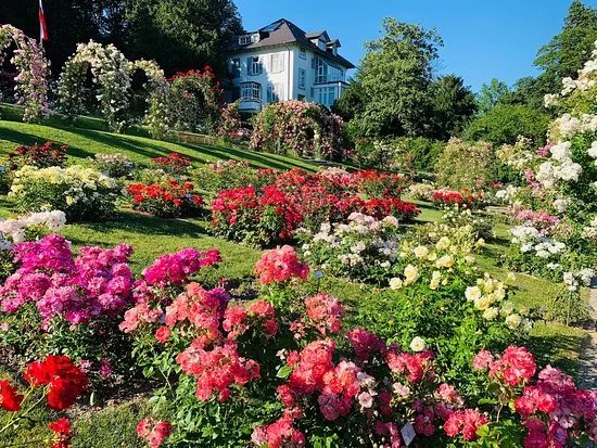 Garten der Rosenneuheiten