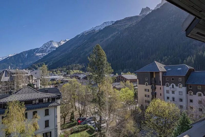 Chamois Blanc Rosières- bright 1 bed apartment with amazing views