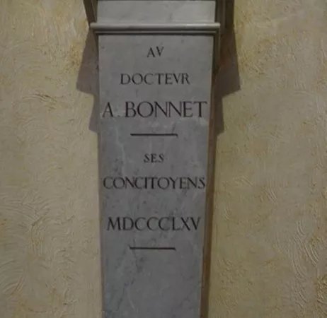Bust of Docteur Amedee Bonnet