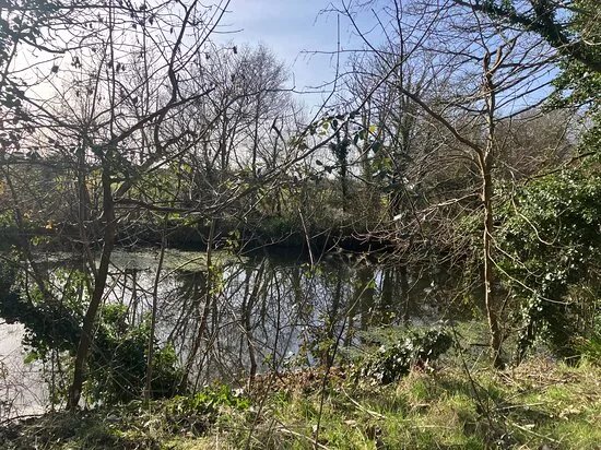 Royal Military Canal, West Hythe