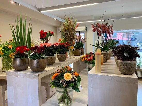 Linder Blumen