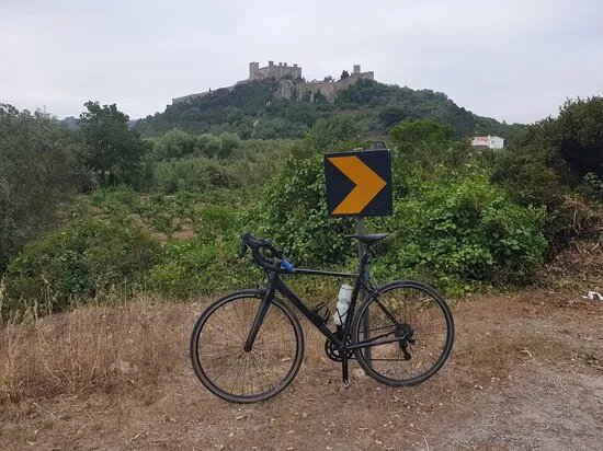 Cyclin Rio