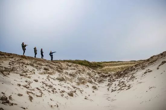 Workshops natuurfotografie - De Witte Haas