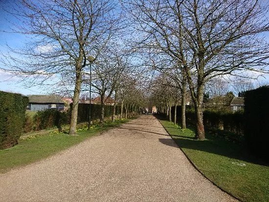 Waterloo Park