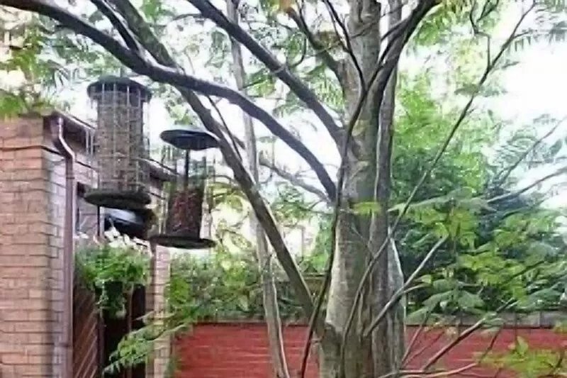 4 Star Boswell One-Bedroom Self Catering Apartment - Quiet - Parking - Wifi
