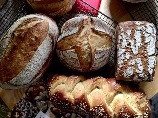 Bread Angels